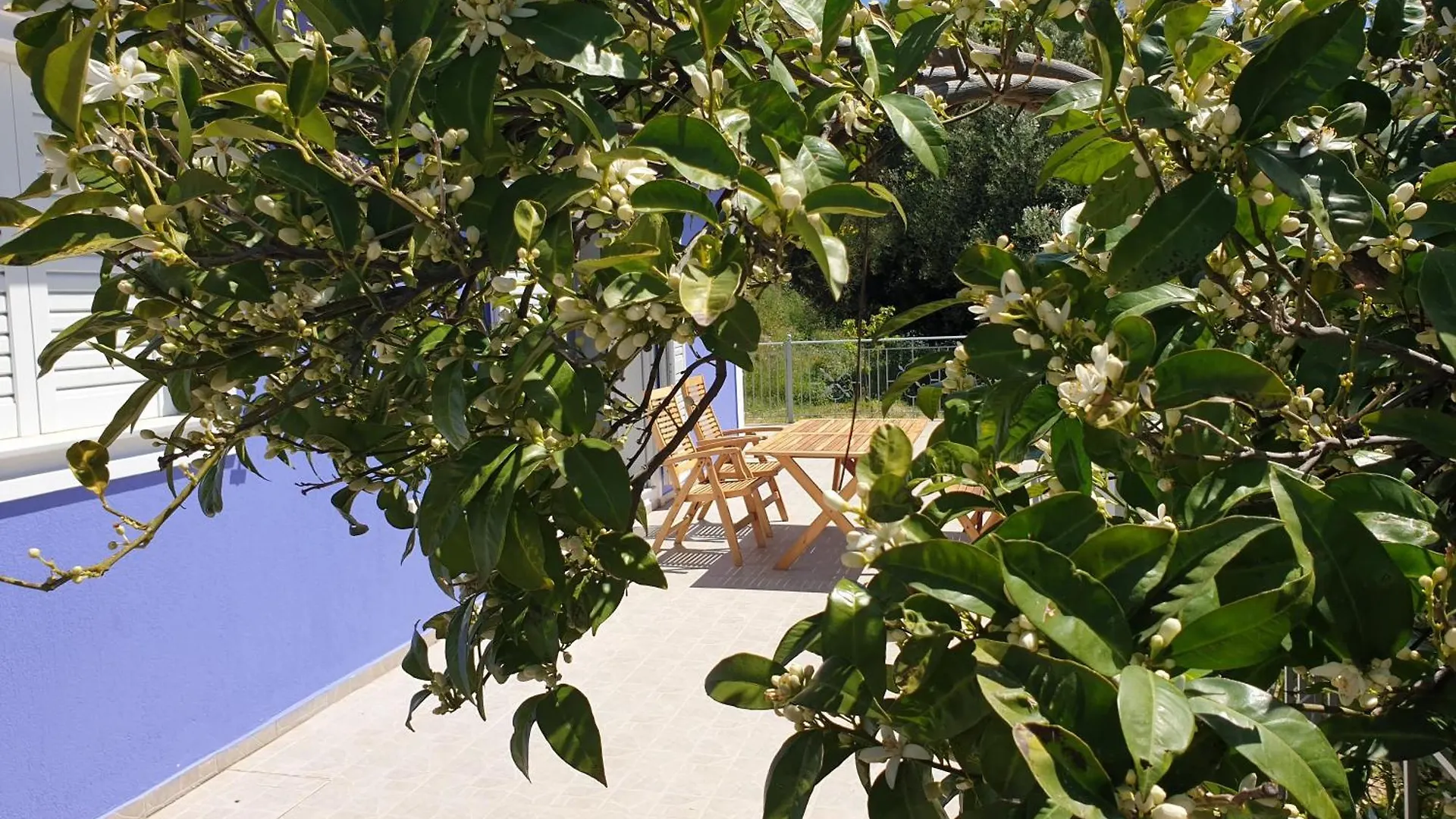 The Ionian Blue House Fully Equipped 3Br House Villa Andipata Holiday home